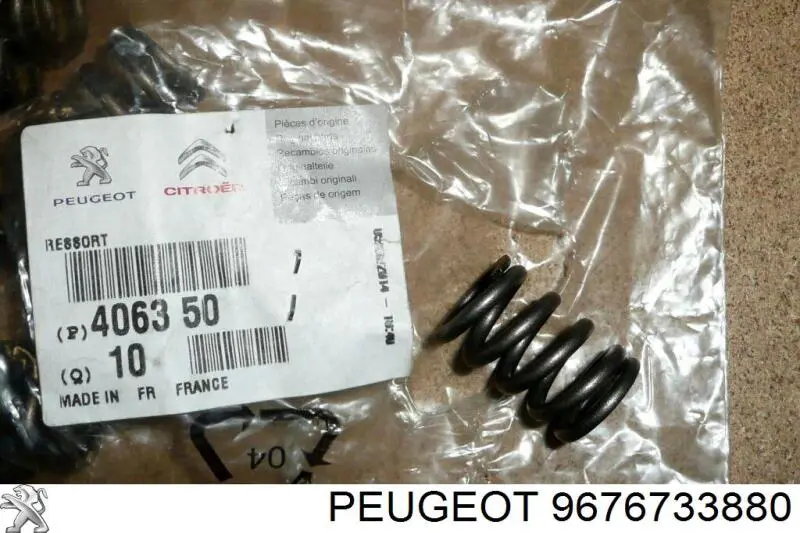 9676733880 Peugeot/Citroen 
