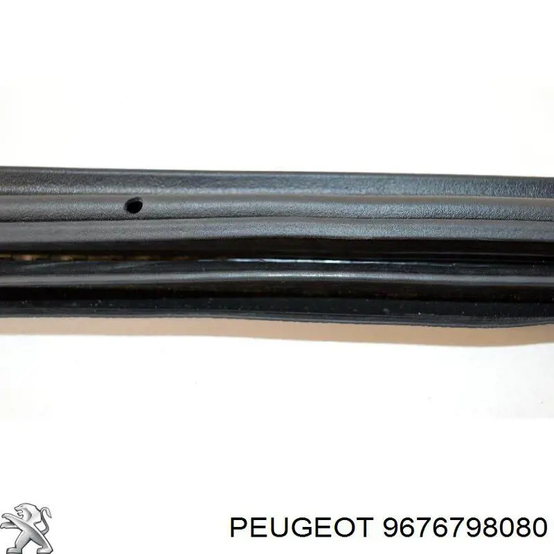 Купити 9676798080 Peugeot/Citroen Ущільнювач двері передньої (на кузові)