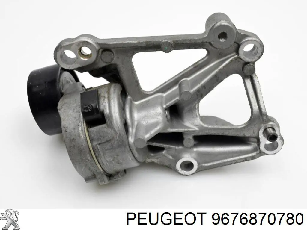  9676870780 Peugeot/Citroen