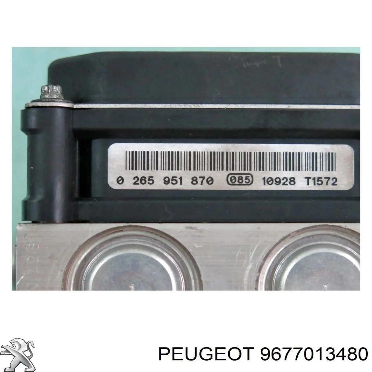 9677013480 Peugeot/Citroen 