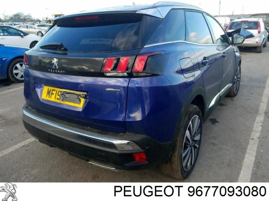 Купити 9677093080 Peugeot/Citroen Повітромір