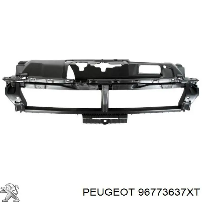 96773637XT Peugeot/Citroen Захист замку капота