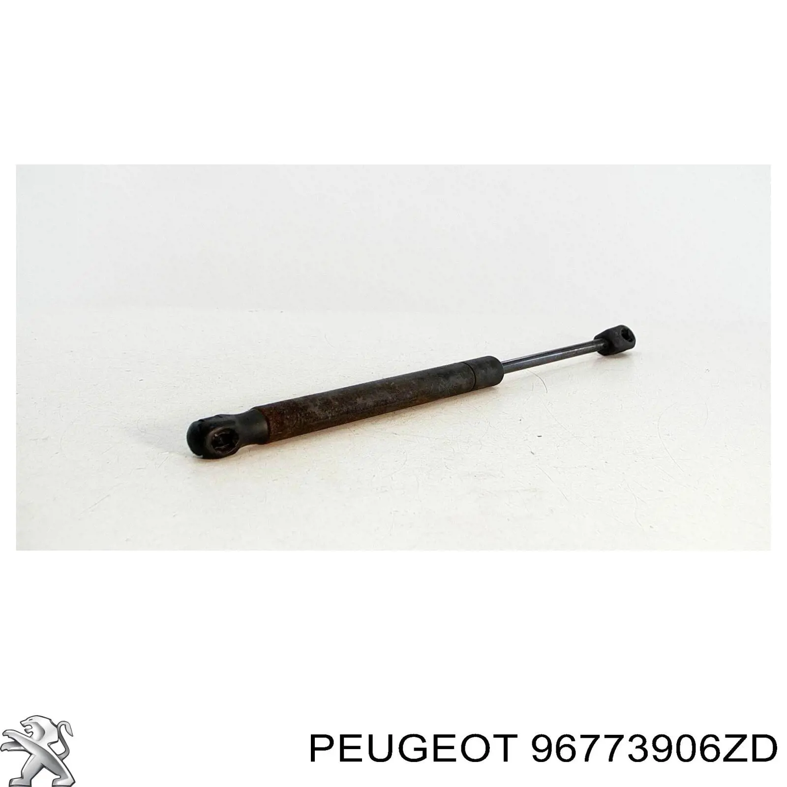 Купити 96773906ZD Peugeot/Citroen 