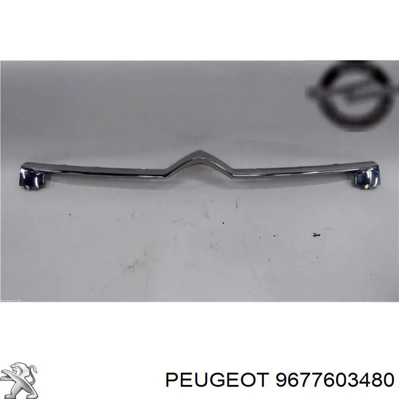  Peugeot/Citroen 9677603480 ціна, від 39.30 USD
