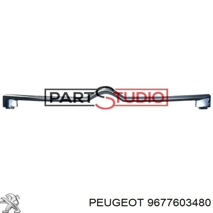 9677603480 Peugeot/Citroen 