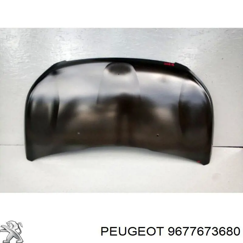 Купити 9677673680 Peugeot/Citroen Капот