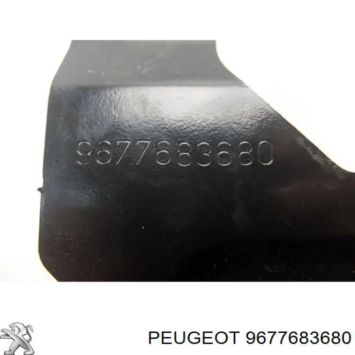 9677683680 Peugeot/Citroen 