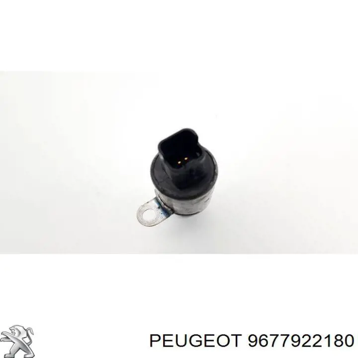 9677922180 Peugeot/Citroen 