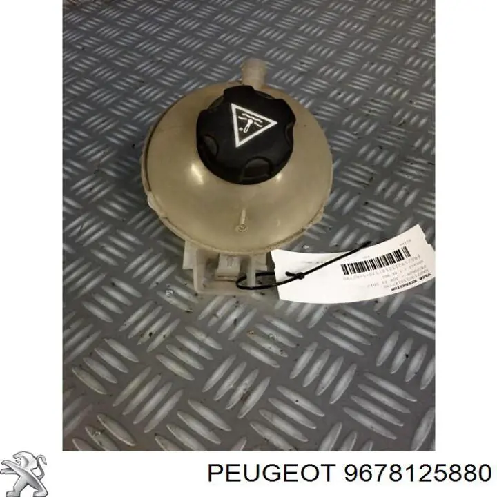 Купити 9678125880 Peugeot/Citroen Водяний бачок системи охолодження