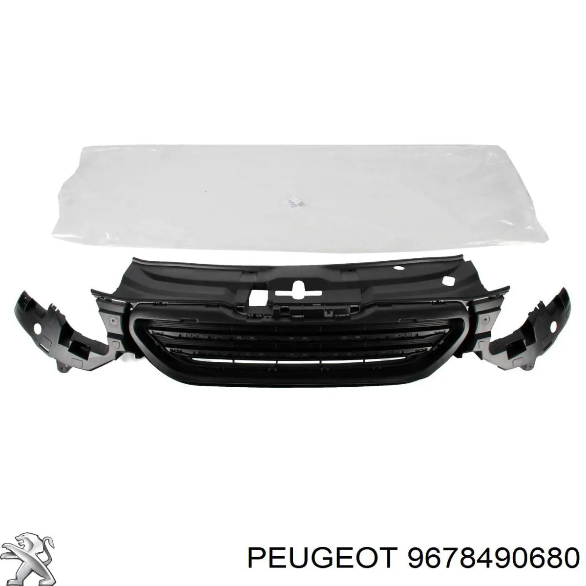  9678490680 Peugeot/Citroen