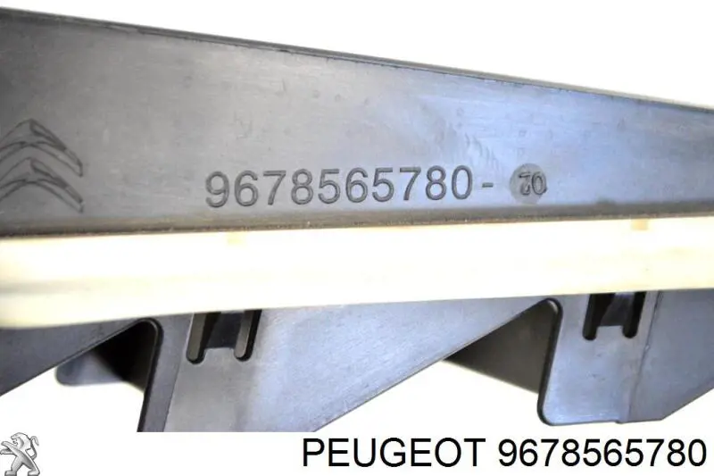  9678565780 Peugeot/Citroen