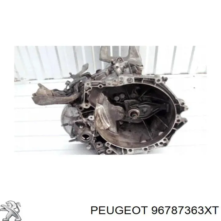  96787363XT Peugeot/Citroen