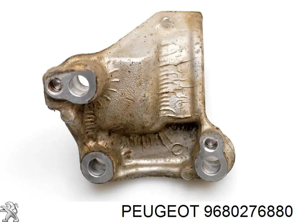 9680276880 Peugeot/Citroen 