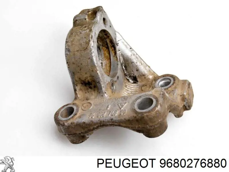  9680276880 Peugeot/Citroen