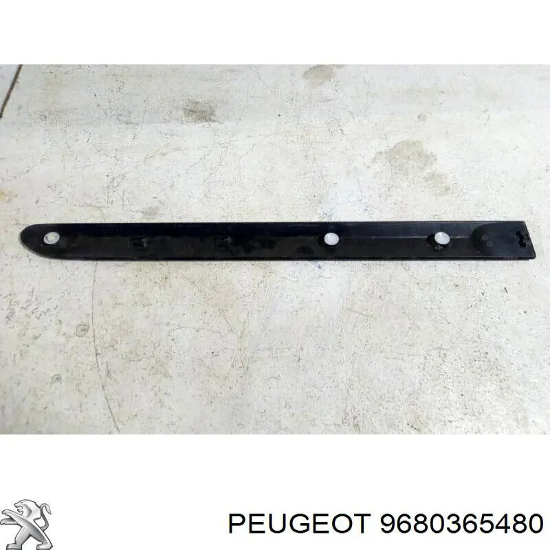 9680365480 Peugeot/Citroen 