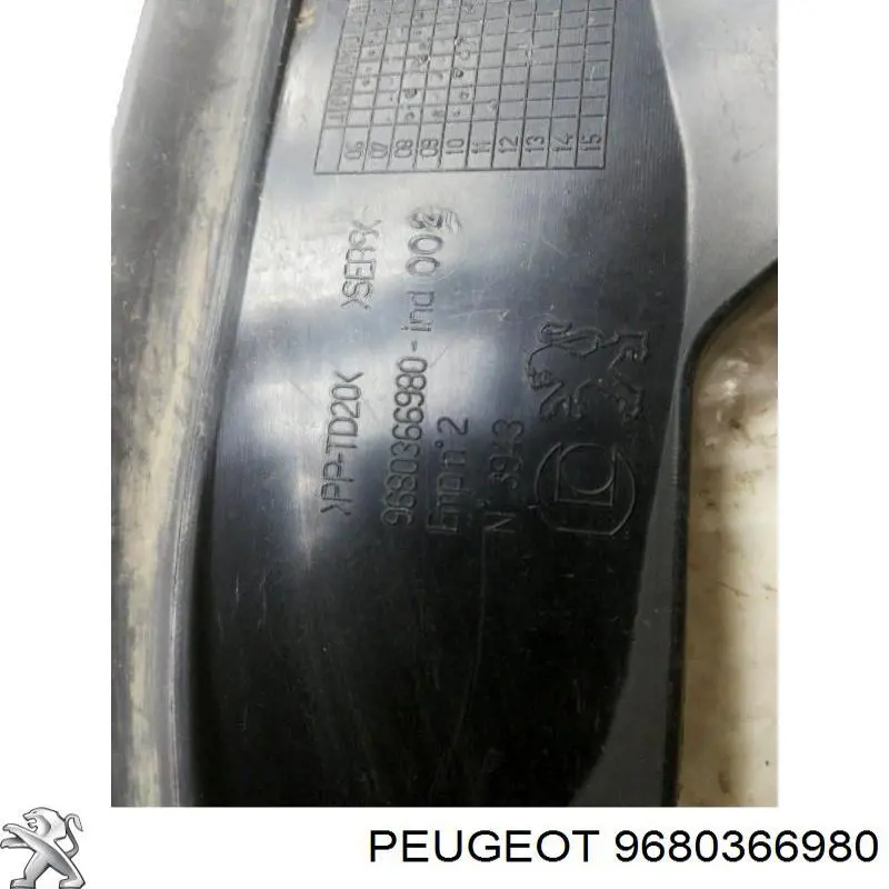 9680366980 Peugeot/Citroen 