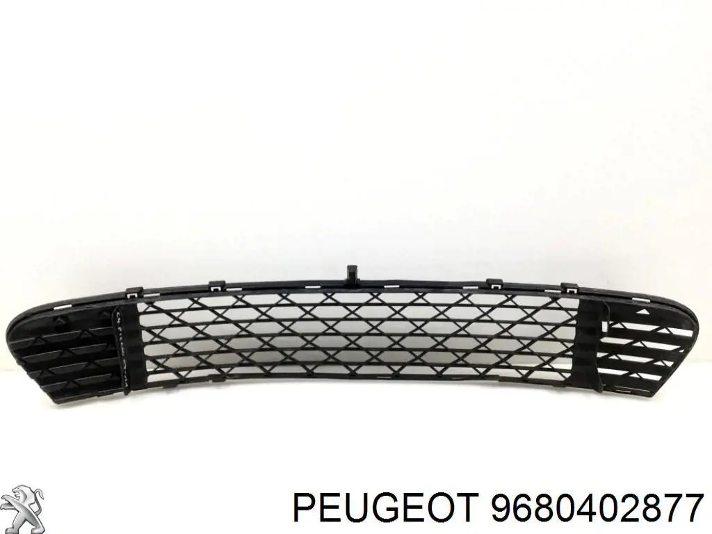  9680402877 Peugeot/Citroen