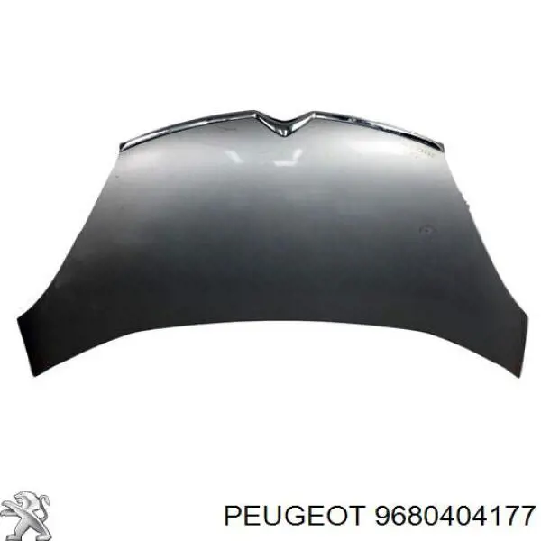 9680404177 Peugeot/Citroen 