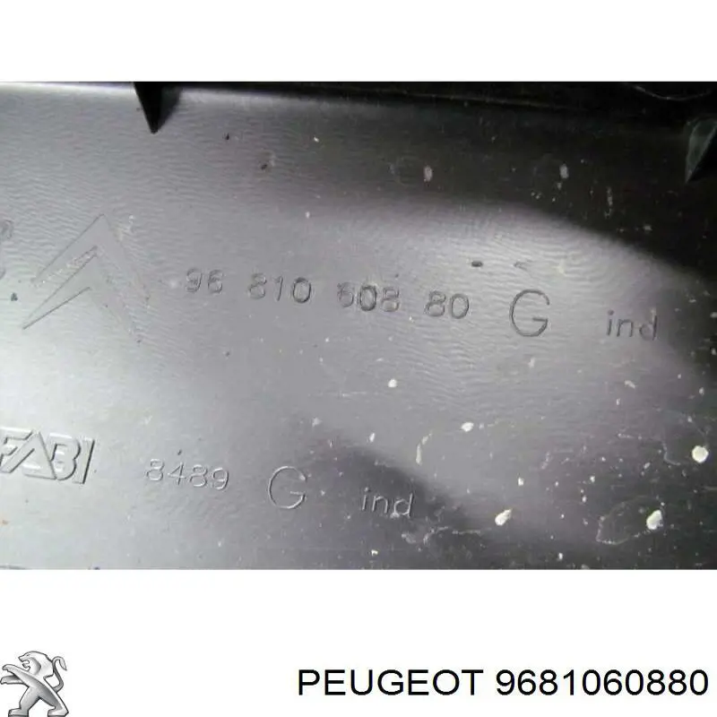 9681060880 Peugeot/Citroen 