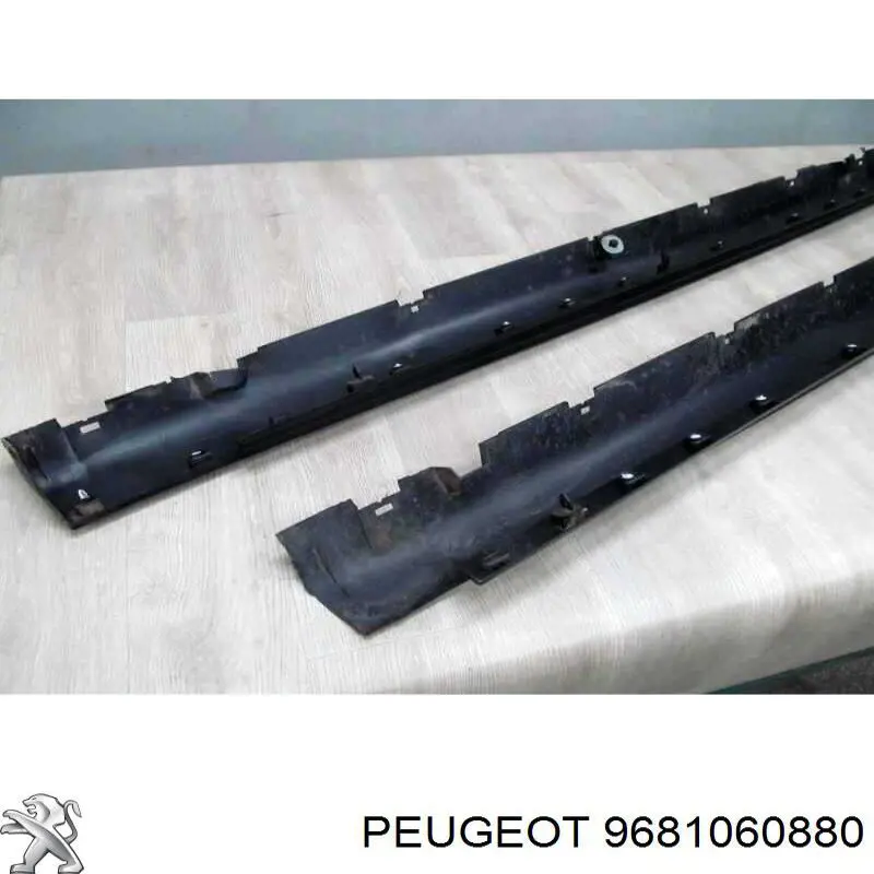  9681060880 Peugeot/Citroen