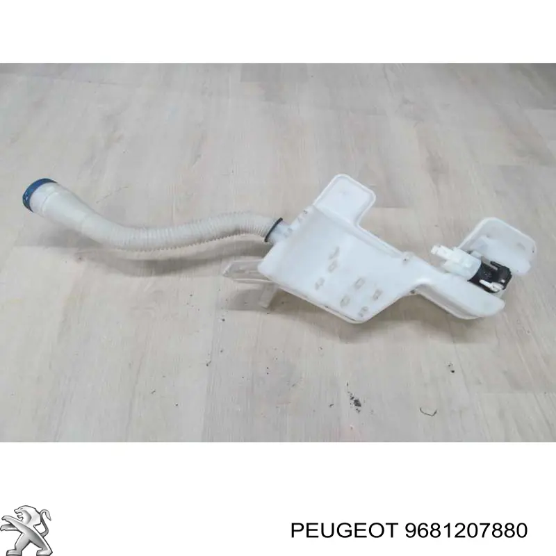 9681207880 Peugeot/Citroen 