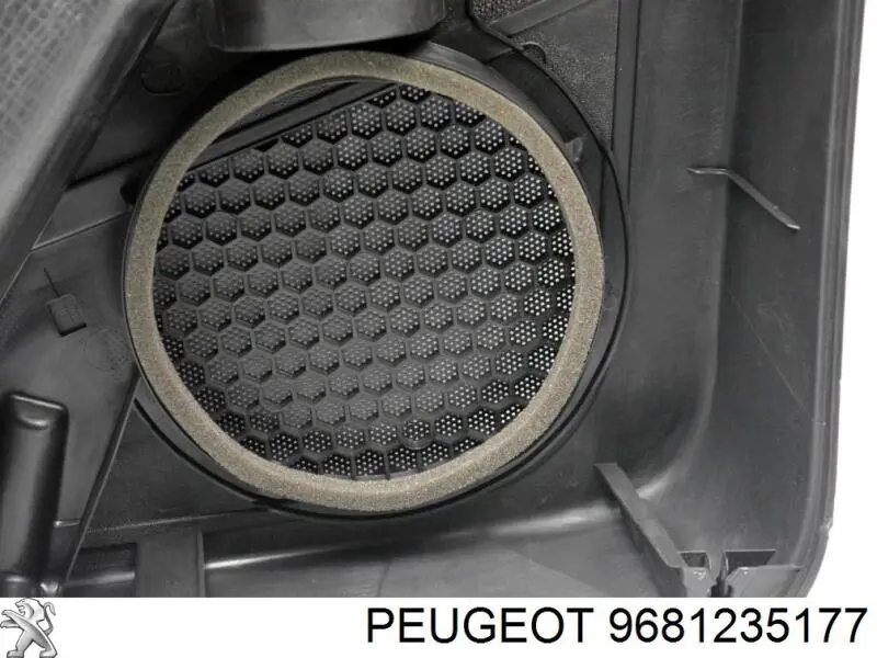 9681235177 Peugeot/Citroen 