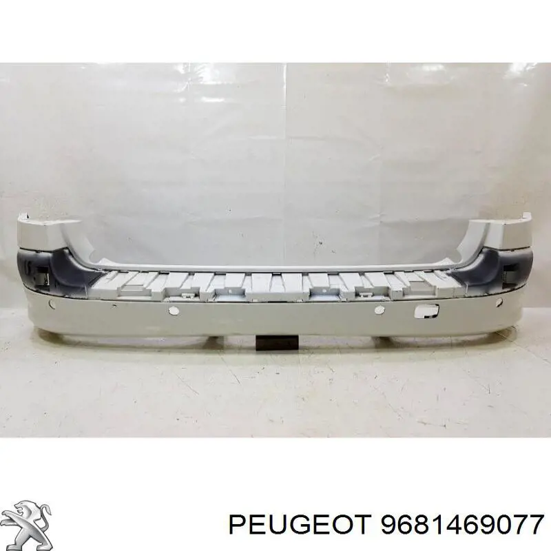9681469077 Peugeot/Citroen 