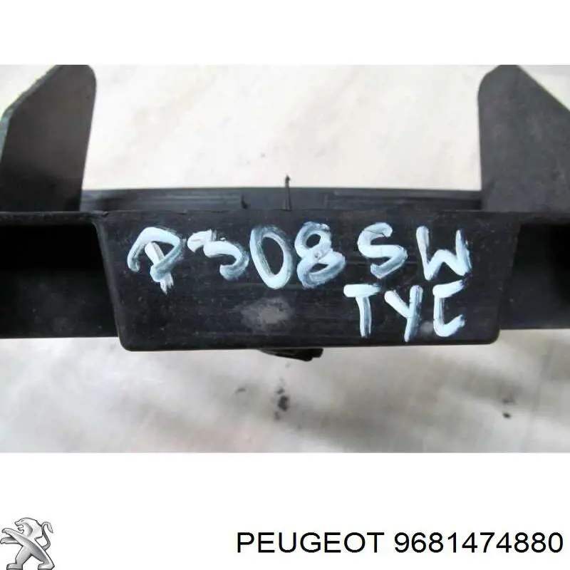 9681474880 Peugeot/Citroen 