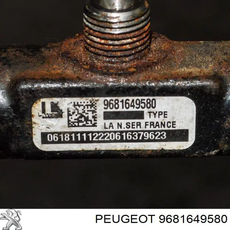 Купити 9681649580 Peugeot/Citroen Розподільник палива
