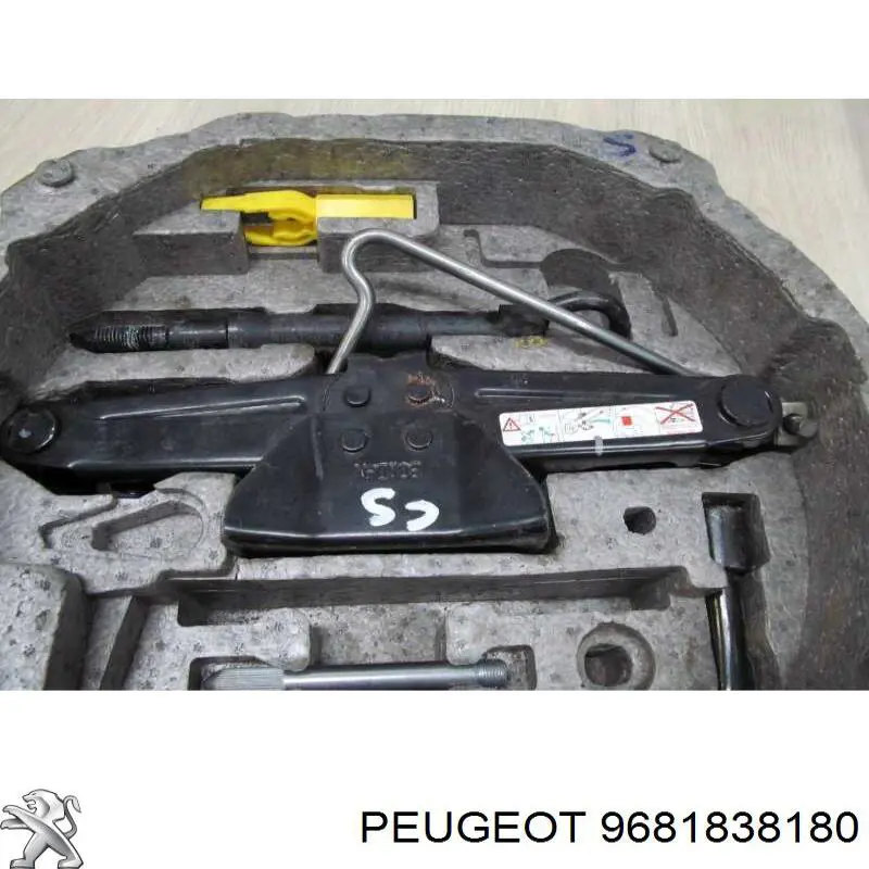 Купити 9681838180 Peugeot/Citroen 