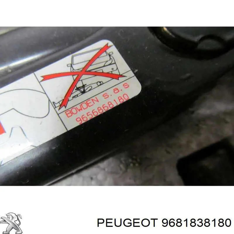 9681838180 Peugeot/Citroen 