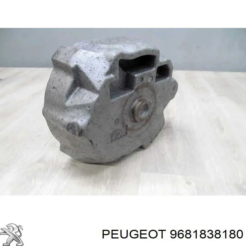 9681838180 Peugeot/Citroen