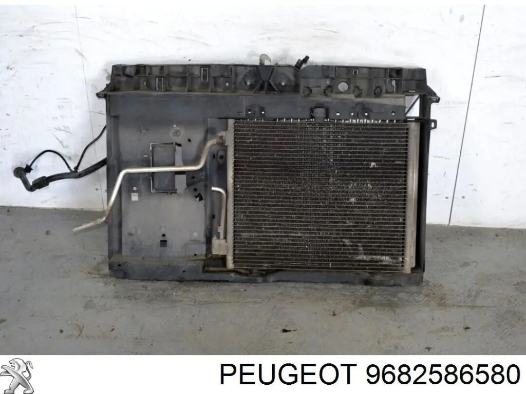  9682586580 Peugeot/Citroen