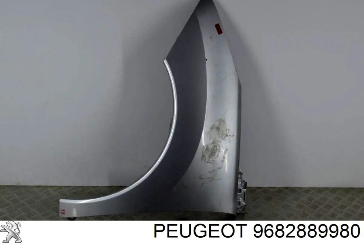 9682889980 Peugeot/Citroen 