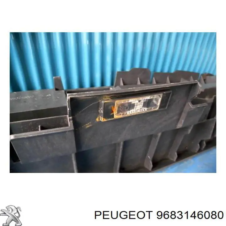  9683146080 Peugeot/Citroen