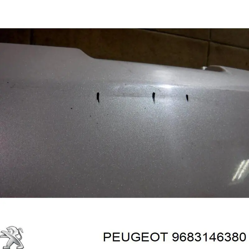 Купити 9683146380 Peugeot/Citroen 