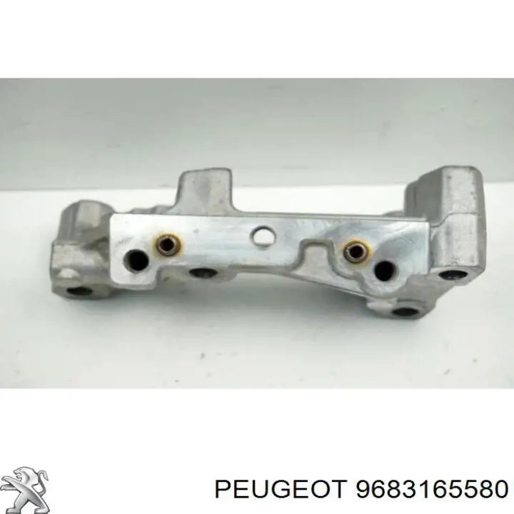 9683165580 Peugeot/Citroen 