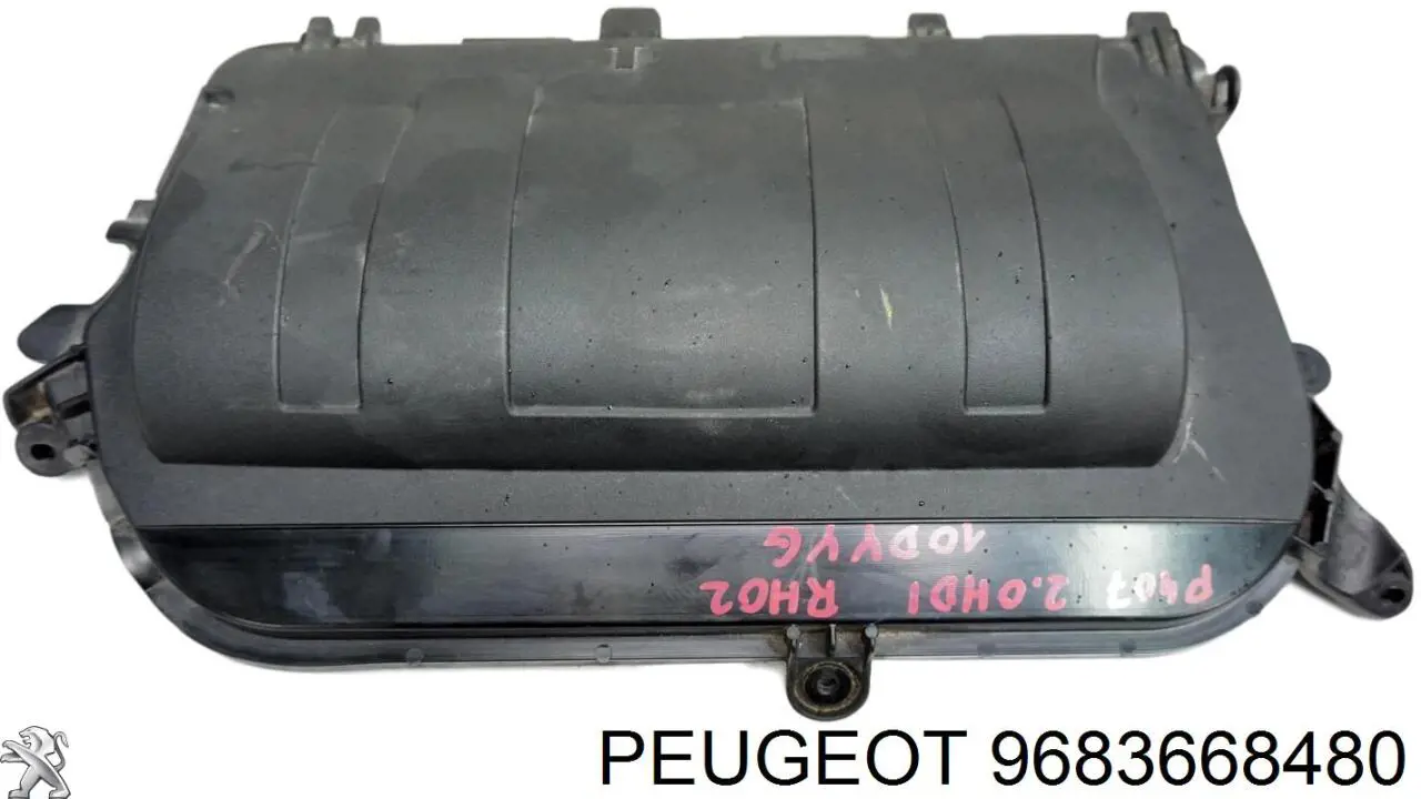 9683668480 Peugeot/Citroen 