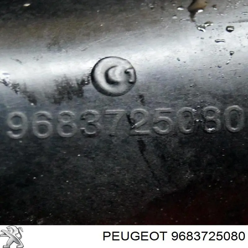 9683725080 Peugeot/Citroen 