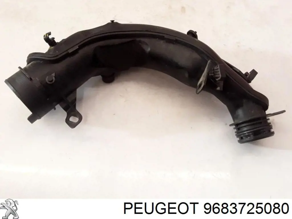  9683725080 Peugeot/Citroen