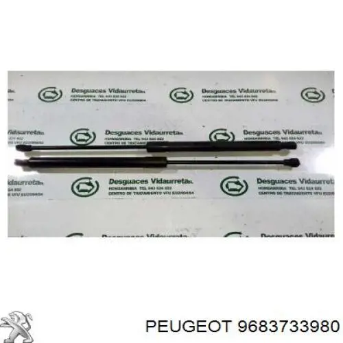  Peugeot/Citroen 9683733980 ціна, від 7.79 USD