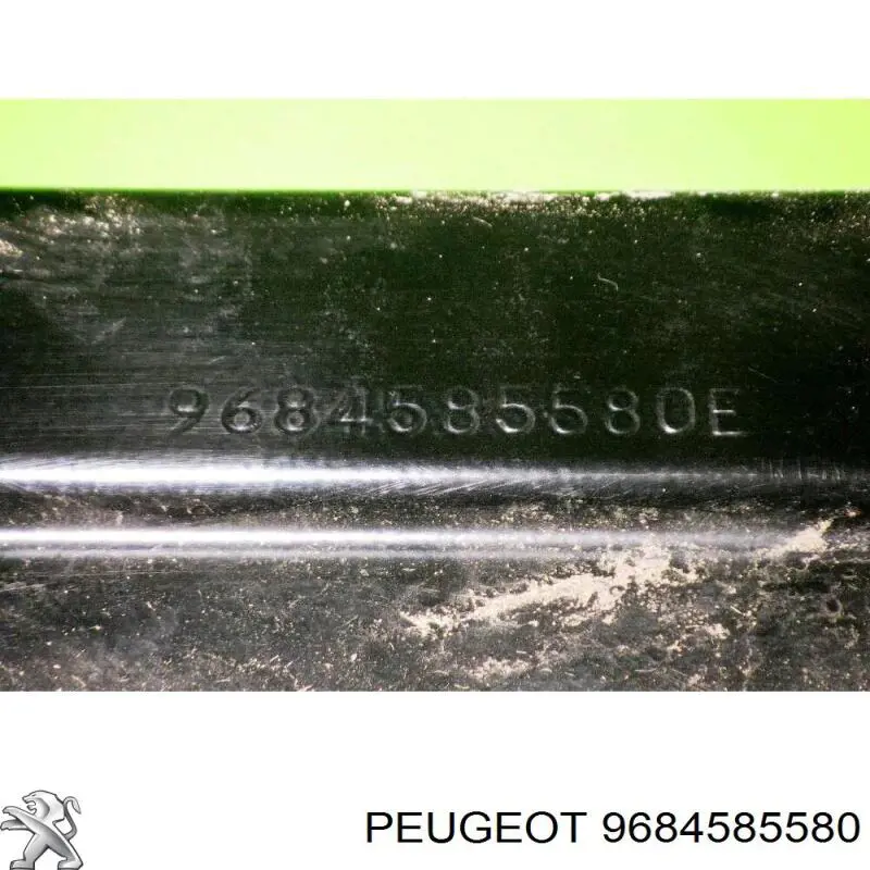 9684585580 Peugeot/Citroen 