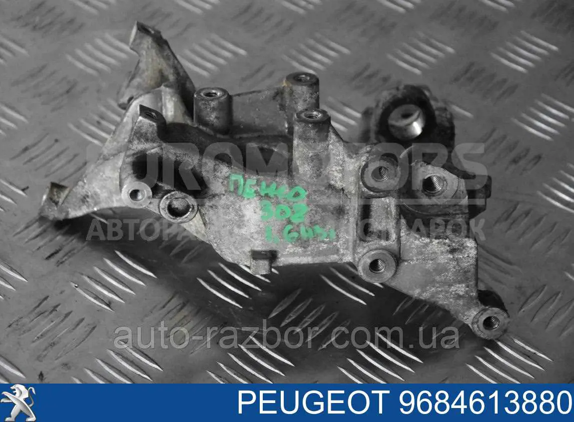  Peugeot/Citroen 9684613880 ціна, від 9.49 USD