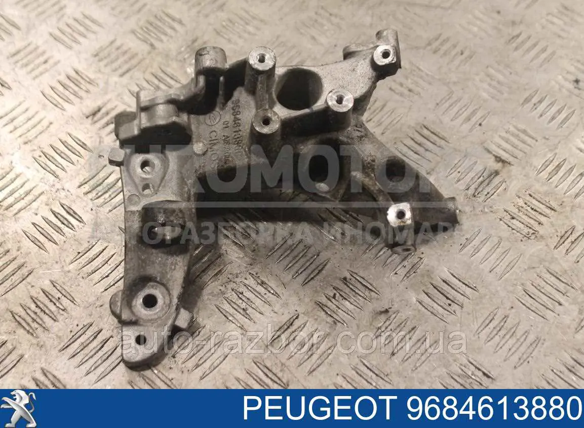 Купити 9684613880 Peugeot/Citroen 