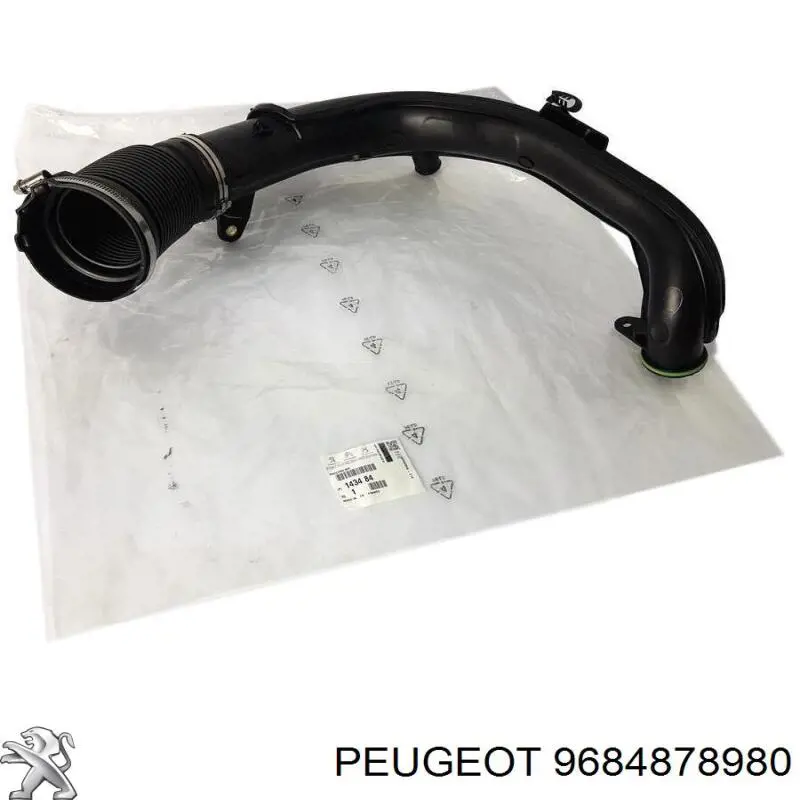 Купити 9684878980 Peugeot/Citroen 