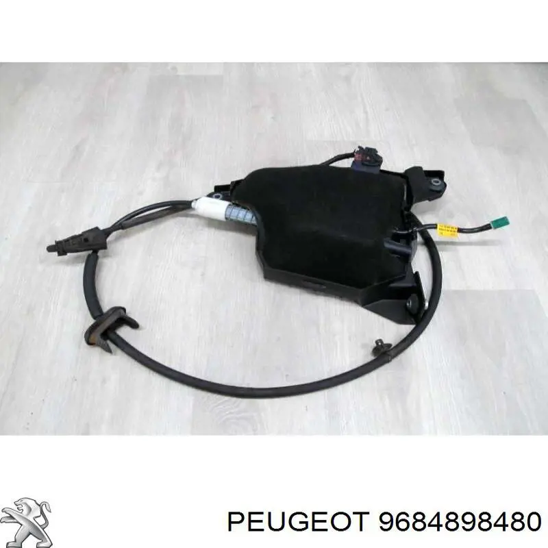 9684898480 Peugeot/Citroen 