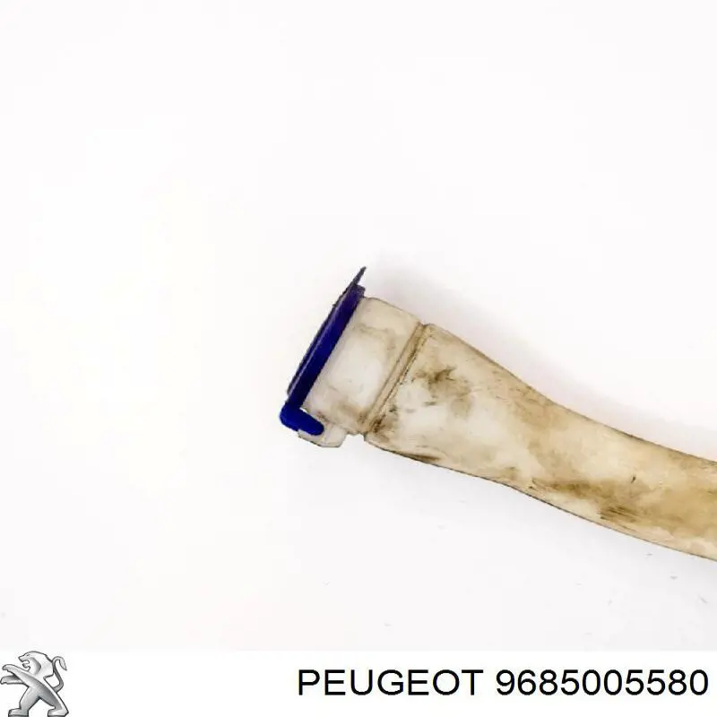 9685005580 Peugeot/Citroen 
