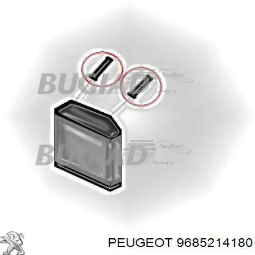9685214180 Peugeot/Citroen Шланг/патрубок интеркуллера