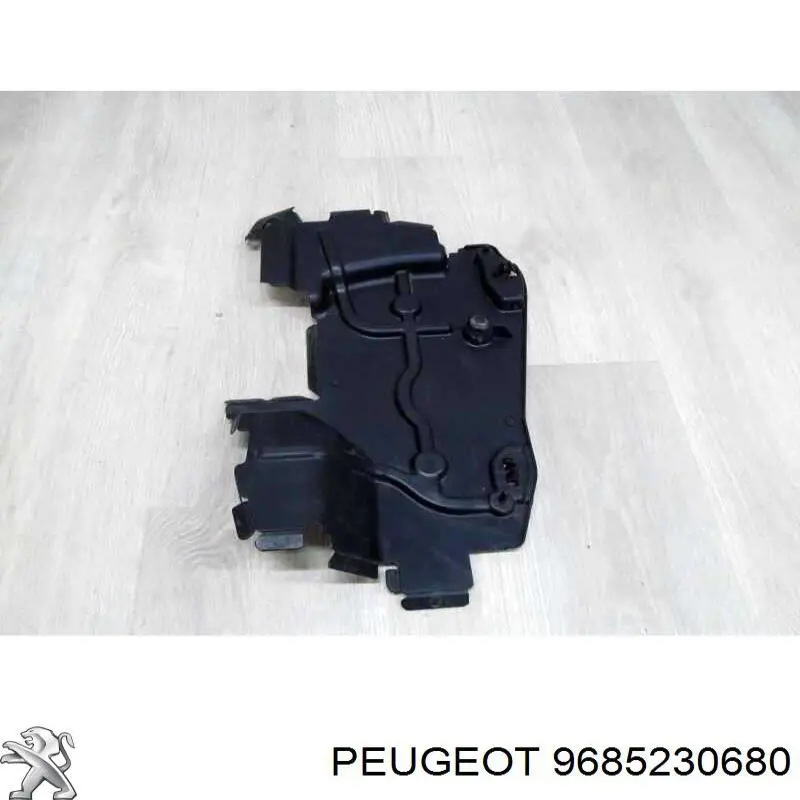 9685230680 Peugeot/Citroen 