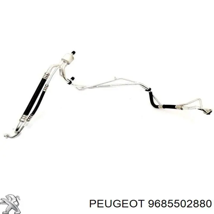 9685502880 Peugeot/Citroen 
